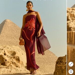 NWT Lady Pipa dress with scarf